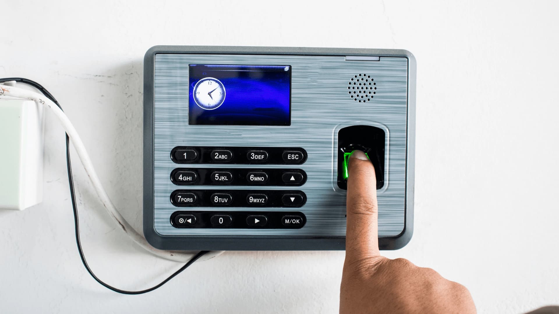 Biometric & Face Recognition Systems